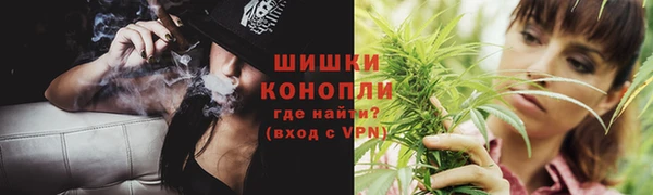 apvp Инта
